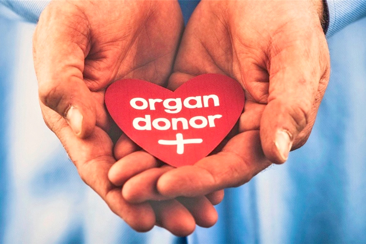 organ donor